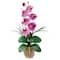 21" Moth Orchid Flower Arrangement in Ceramic Pot